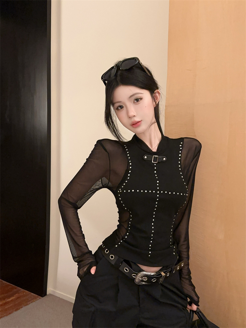 Sheer Mesh Studded Lantern-Sleeve T-Shirt for Women - 2025 Fall Slim-Fit Sexy Top - Image 2