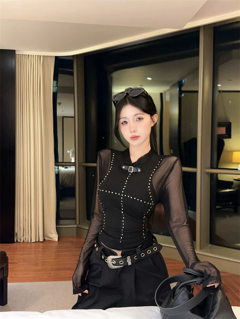 Sheer Mesh Studded Lantern-Sleeve T-Shirt for Women - 2025 Fall Slim-Fit Sexy Top - Image 3