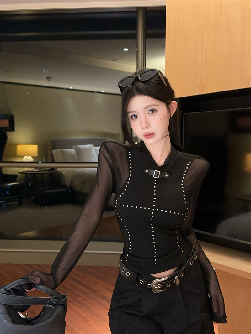 Sheer Mesh Studded Lantern-Sleeve T-Shirt for Women - 2025 Fall Slim-Fit Sexy Top